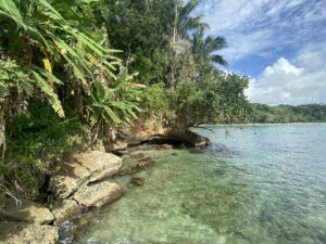 Costa Rican Nature