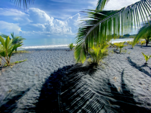 Costa Rica Beach